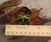Nepenthes ampullaria "Red"